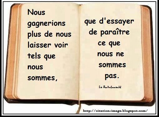 écrire un livre … Et si j’écrivais un livre, y parlerait de quoi