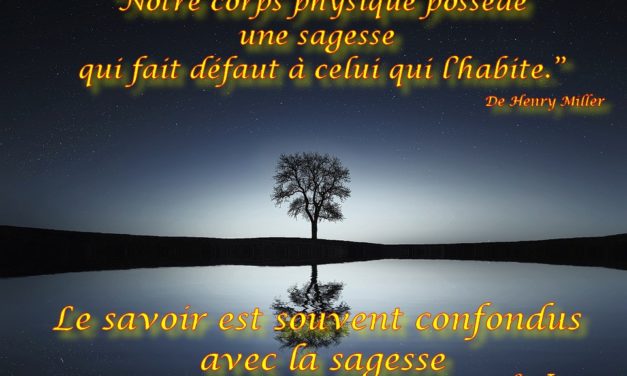 Savoir et sagesse ne sont pas nécessairement de la même école